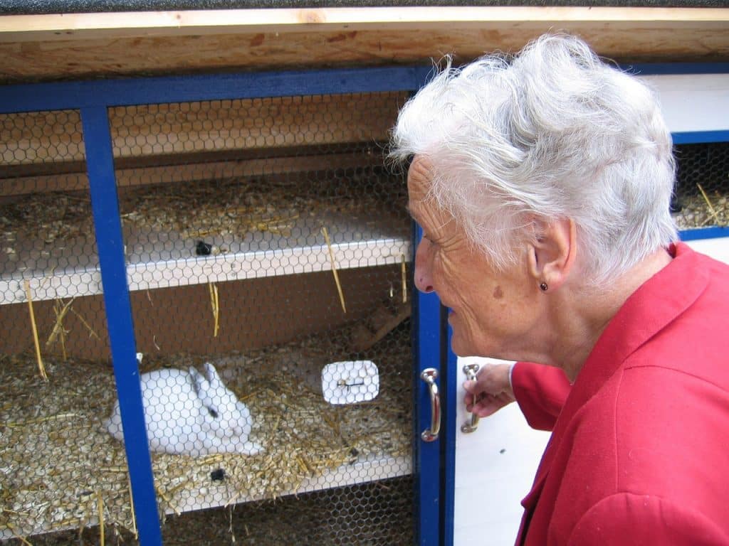 Woman looking at rabbit in hutch